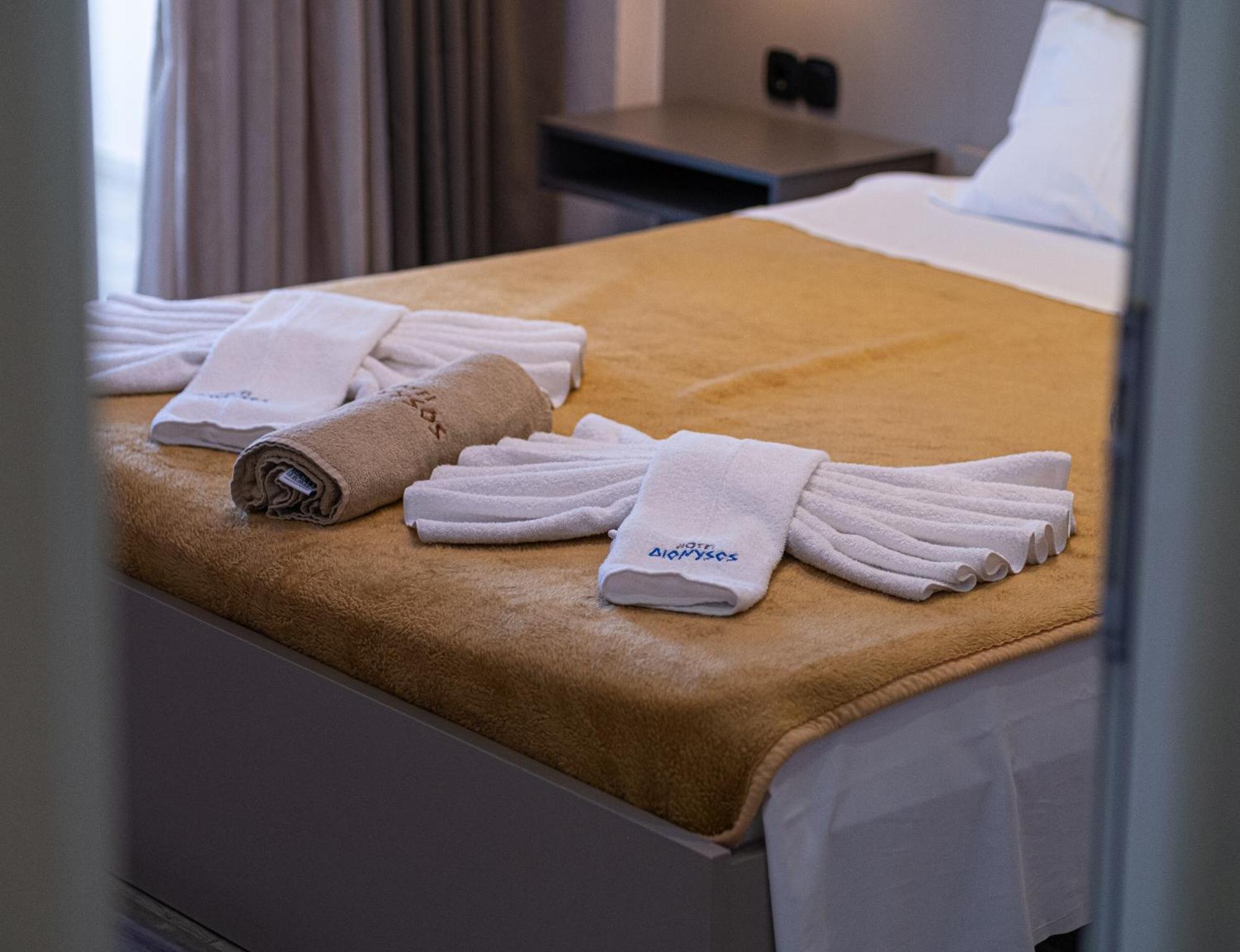 Hotel Dionysos Polichrono Políhrono Kültér fotó